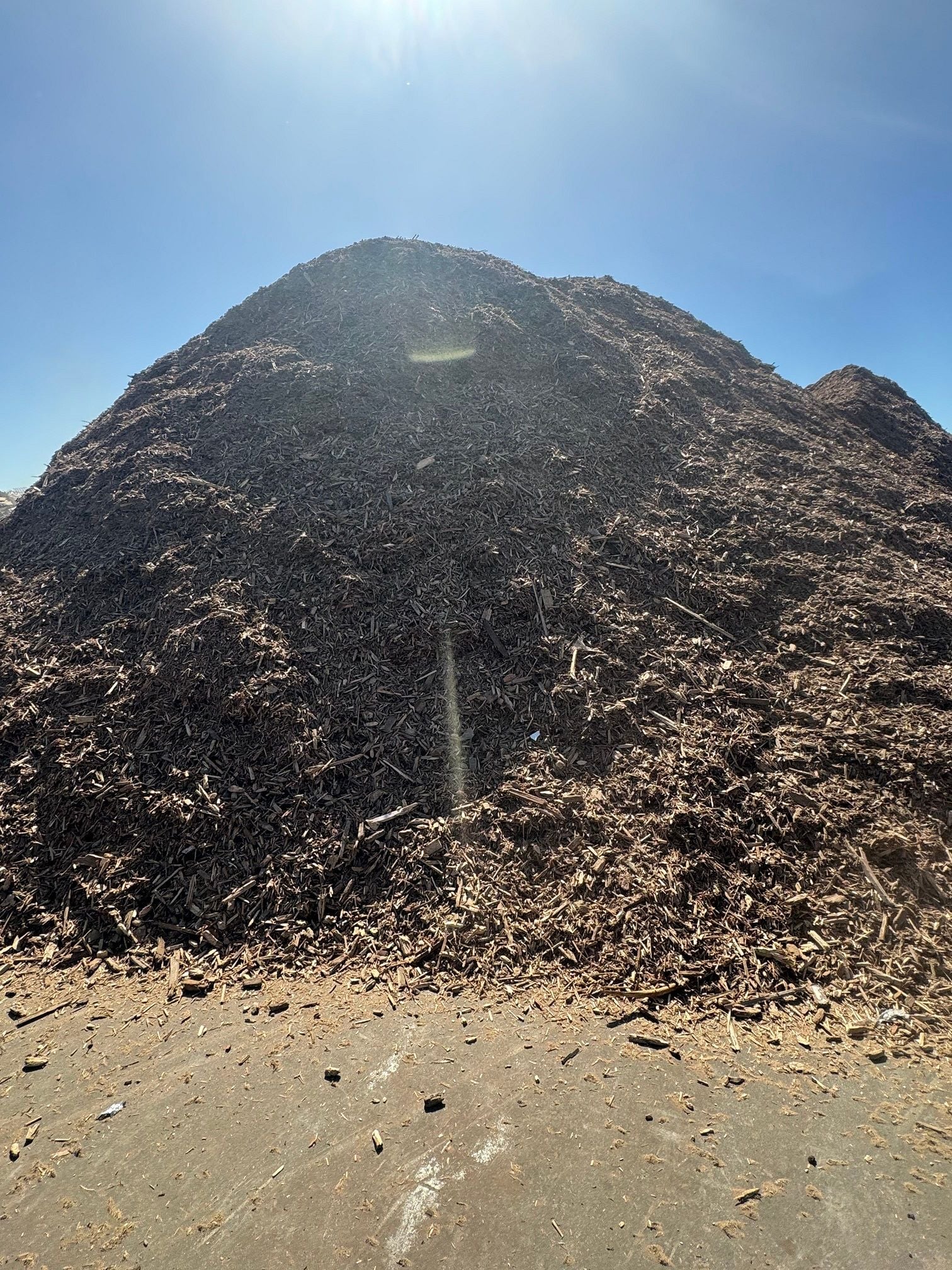 Construction Waste: EcoGroup's Visionary Project Construction Waste: EcoGroup's Visionary Project